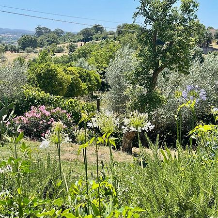 Best Luxury Boutique B&B Vista Do Vale Tomar Esterno foto