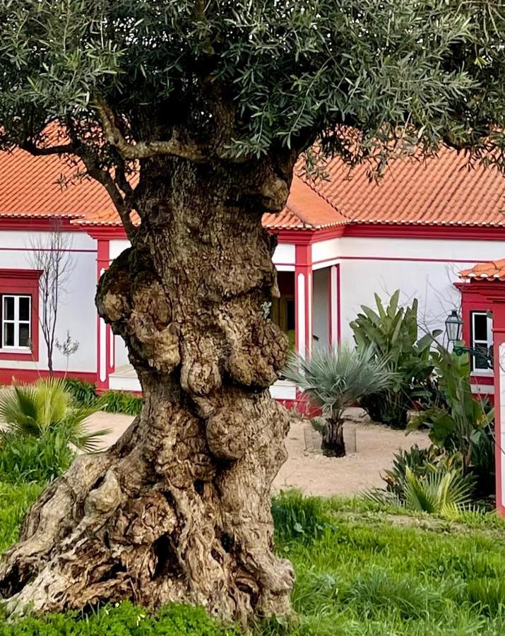 Best Luxury Boutique B&B Vista Do Vale Tomar Esterno foto