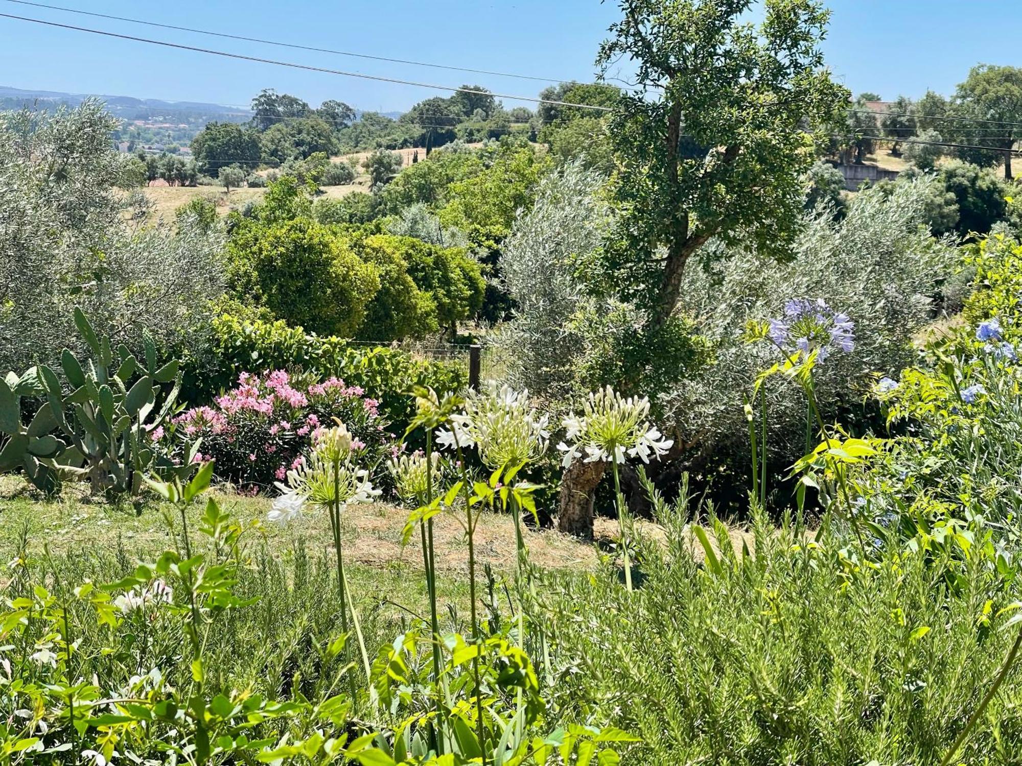 Best Luxury Boutique B&B Vista Do Vale Tomar Esterno foto